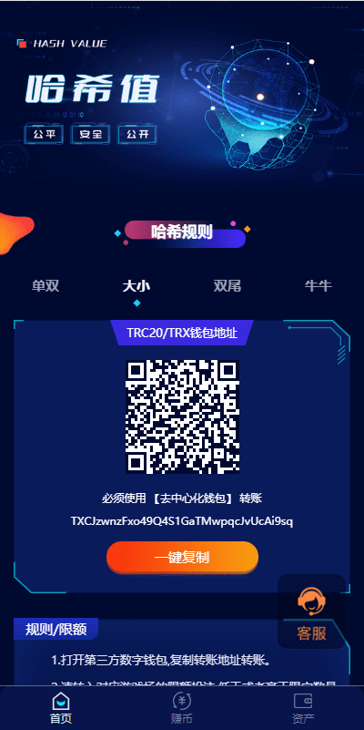 前端vue版哈希竞彩/区块链哈希值游戏/usdt/trx双玩法插图